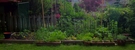 backyard organic vegetable garden food