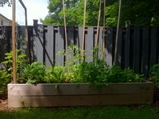backyard organic vegetable garden toronto